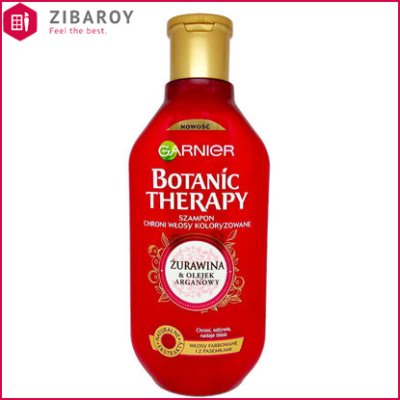 شامپو مو گارنیه مدل Botanic Therapy حاوی عصاره زغال اخته و روغن آرگان حجم 400 میل